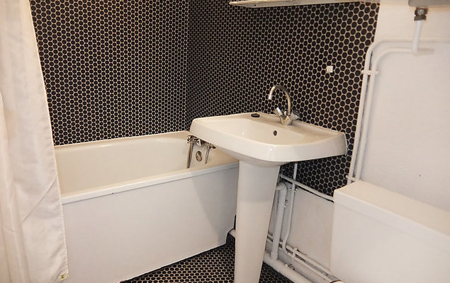 Les Asters - Photo 3