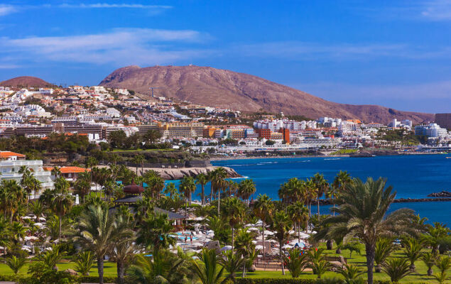 Comfy Altemar - Photo 35