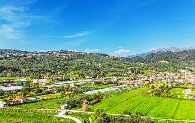 Villa Pardini - Photo 4