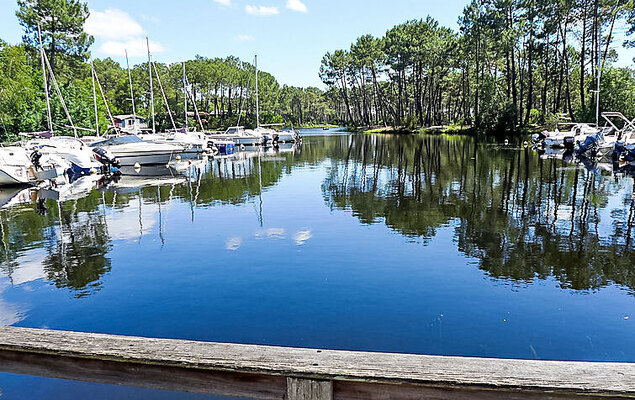 Marina de Talaris - Photo 5