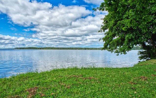 Marina de Talaris - Photo 22