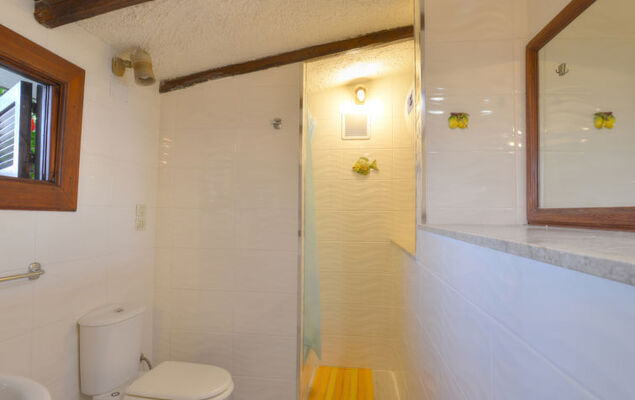 Tanah-Lot - Photo 21