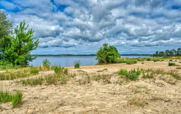 Les Cracks - Les As - Photo 26