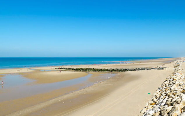 Les Cracks - Les As - Photo 31